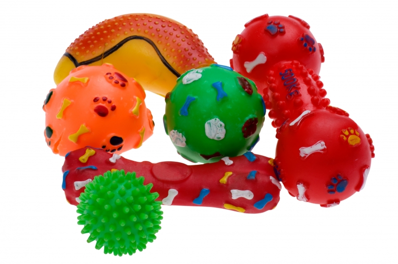 plastic-toy-for-dog-close-up